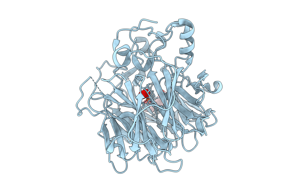 5J53 image