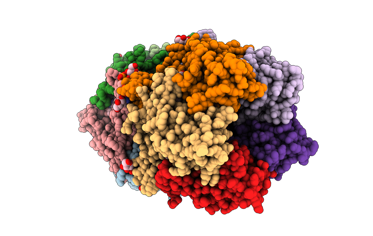 5J5I image