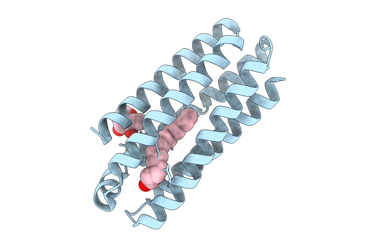 5J5K image