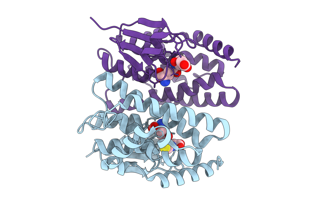 5J5N image