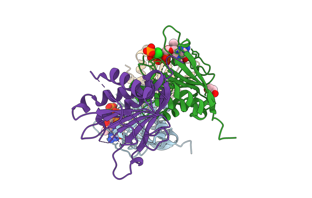 5J5Y image