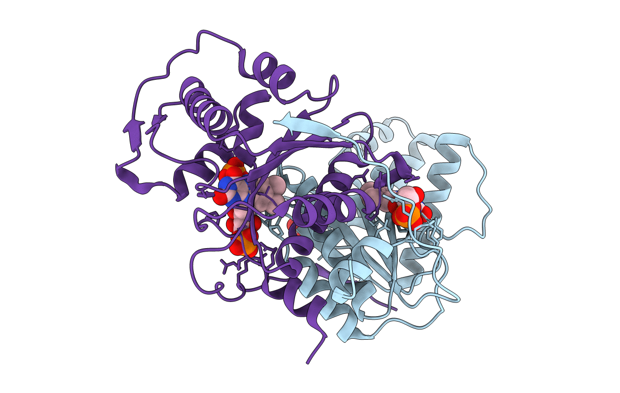 5J62 image