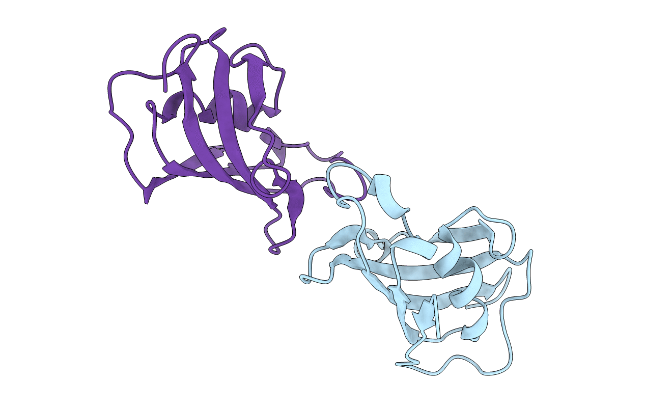 5J6E image