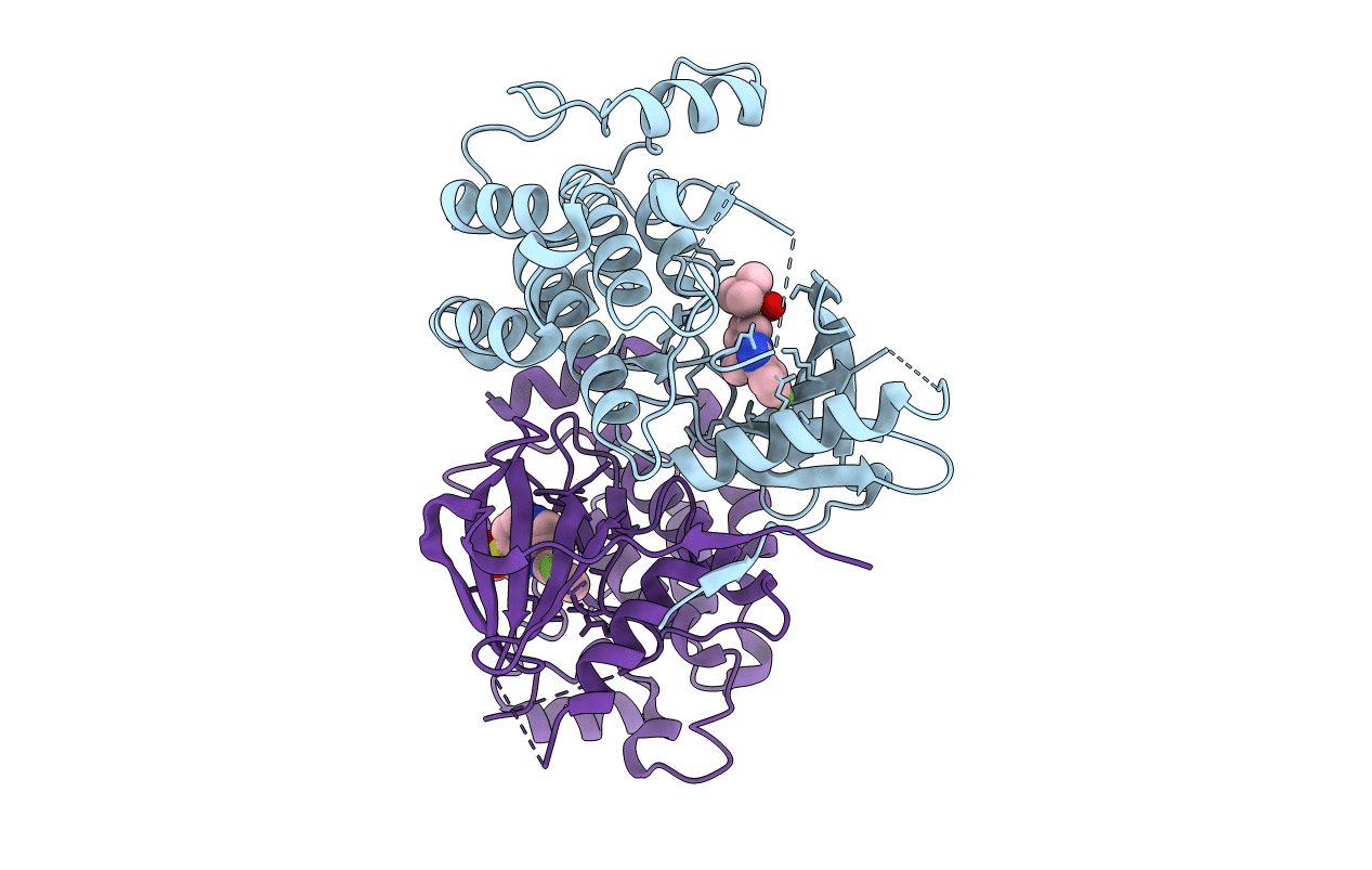5J7B image