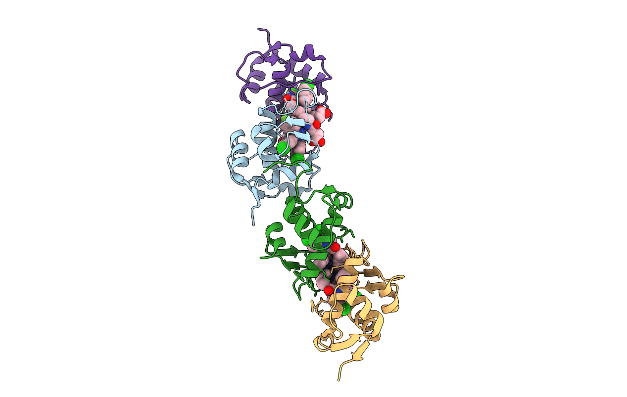 5J7F image