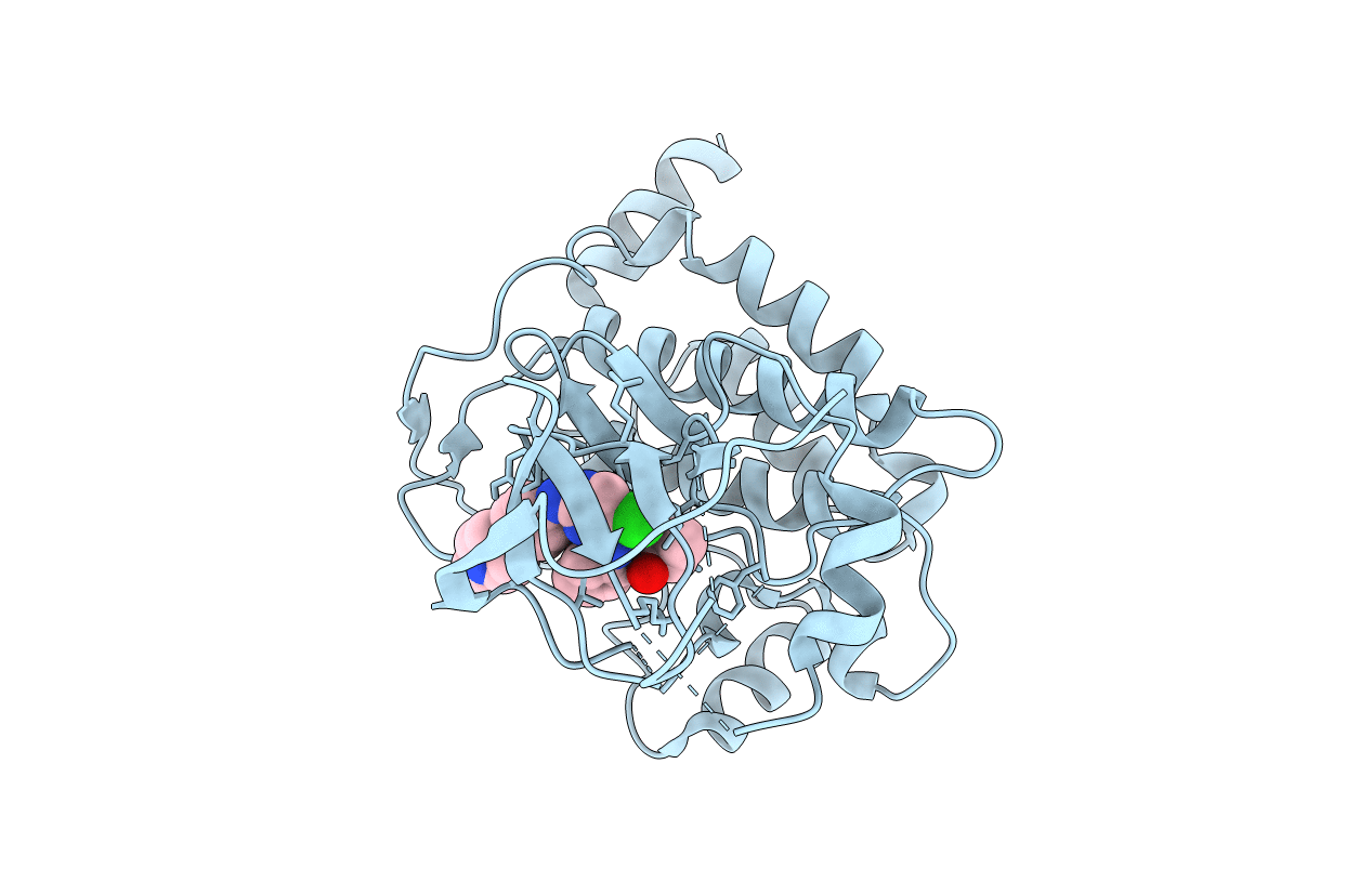 5J7S image