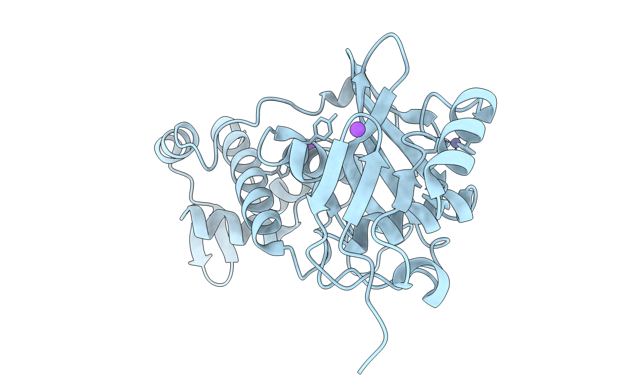 5J8C image
