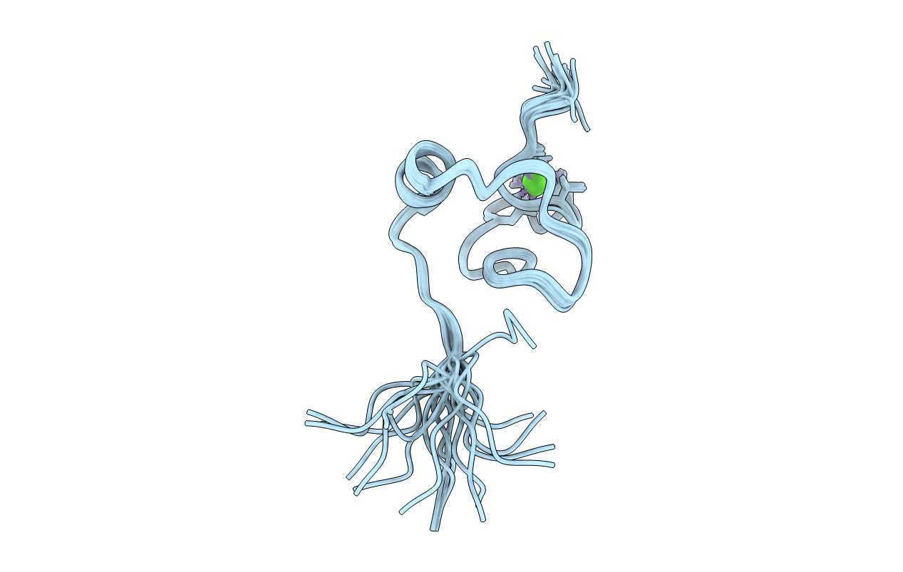 5J8T image
