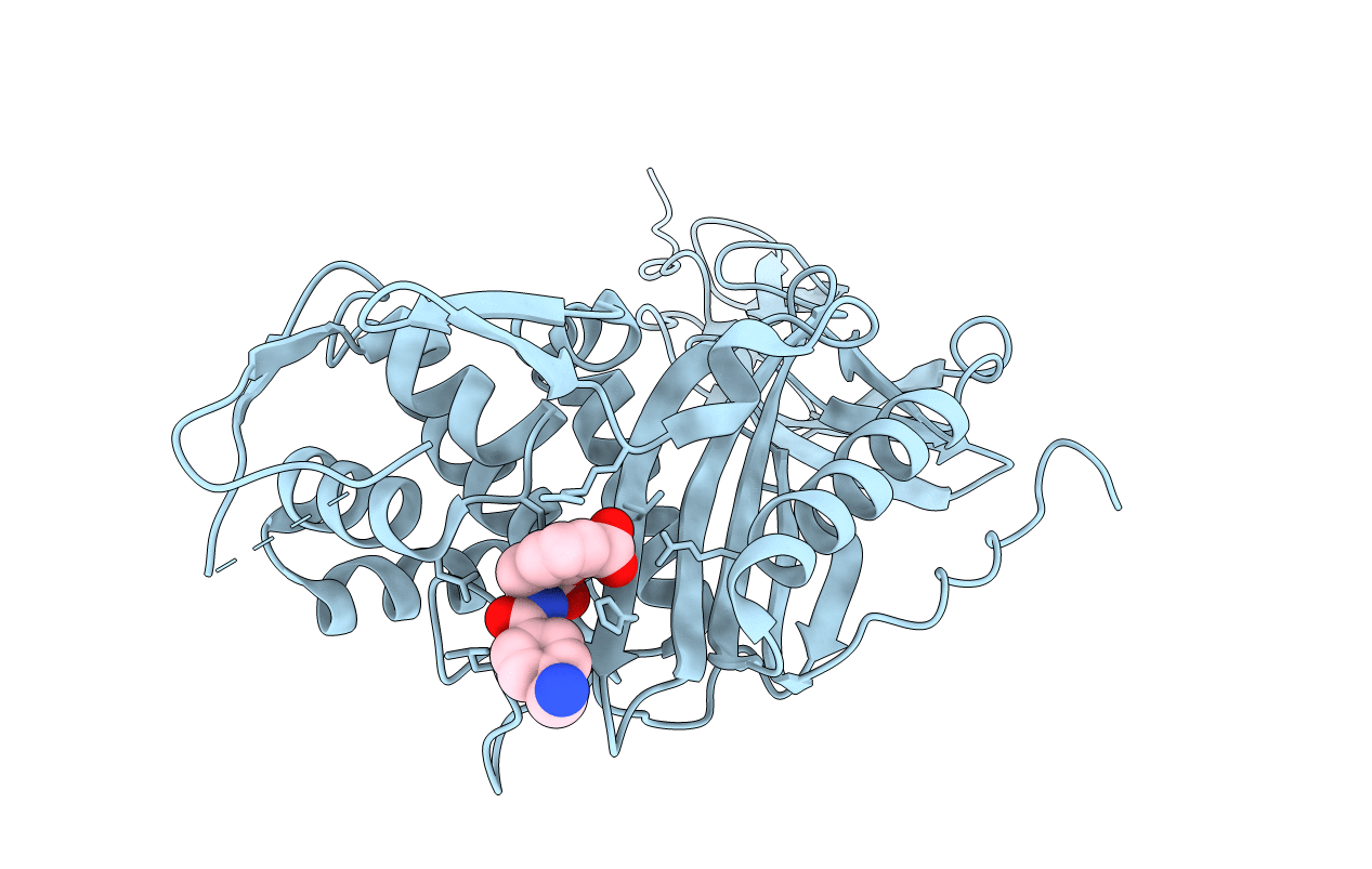 5J8X image