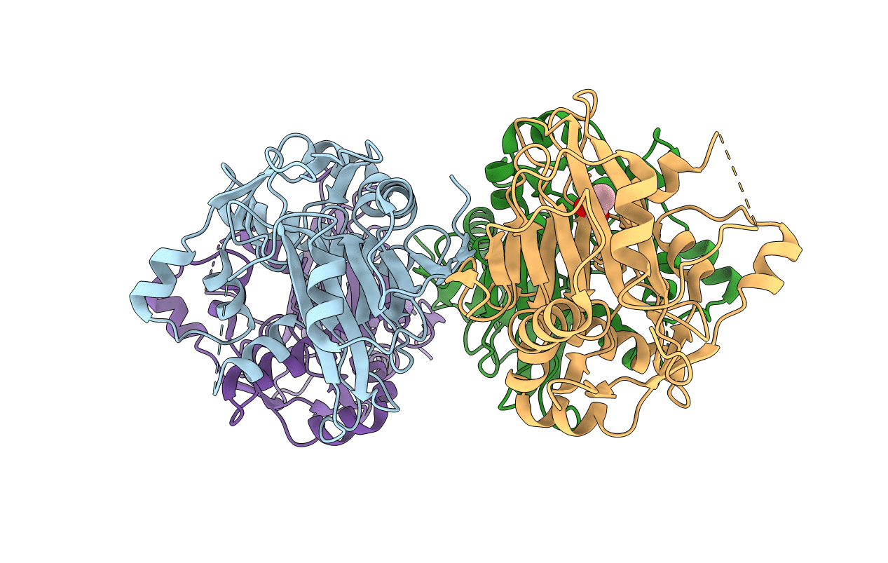 5J92 image