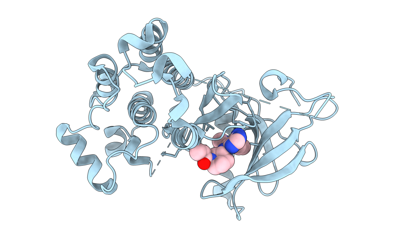 5J9Z image