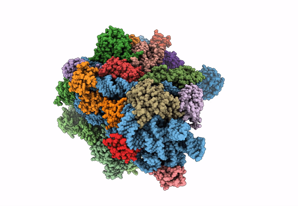 5JB3 image