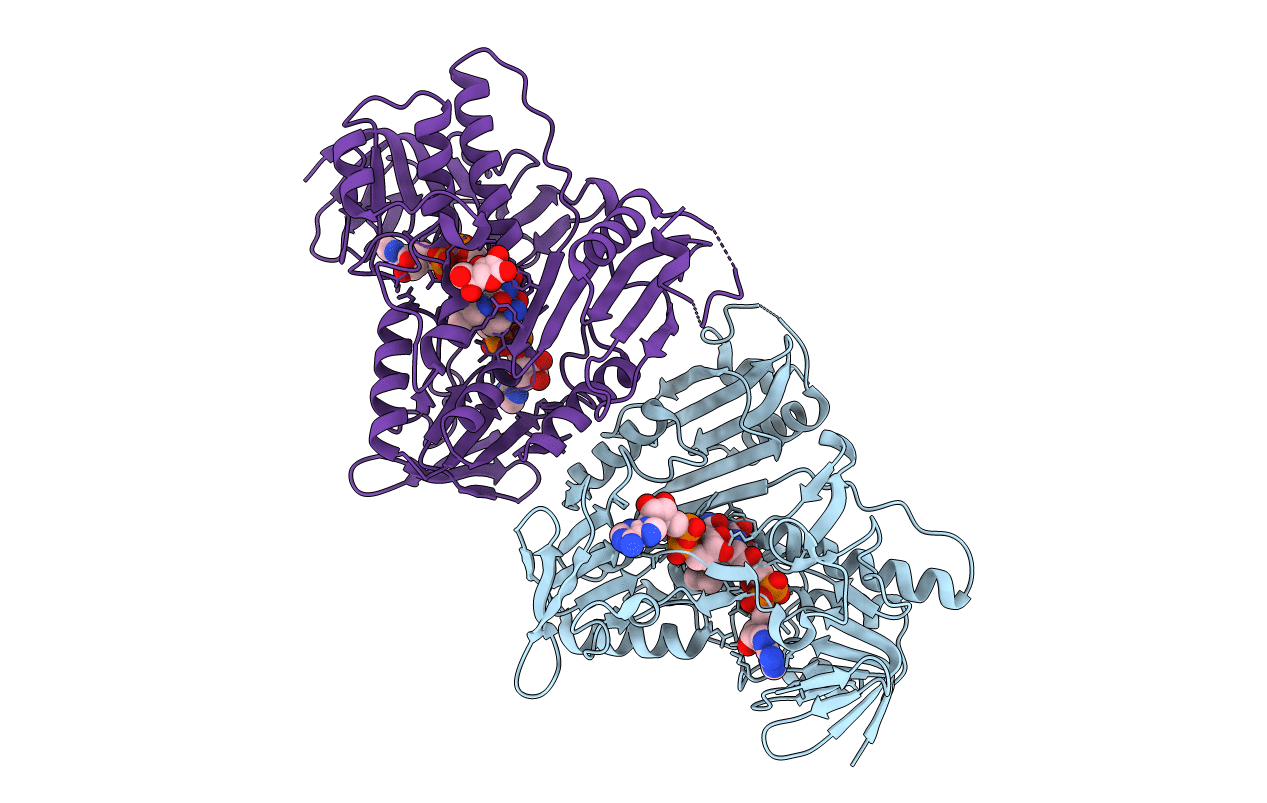 5JCN image