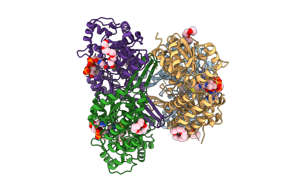 5JFN image
