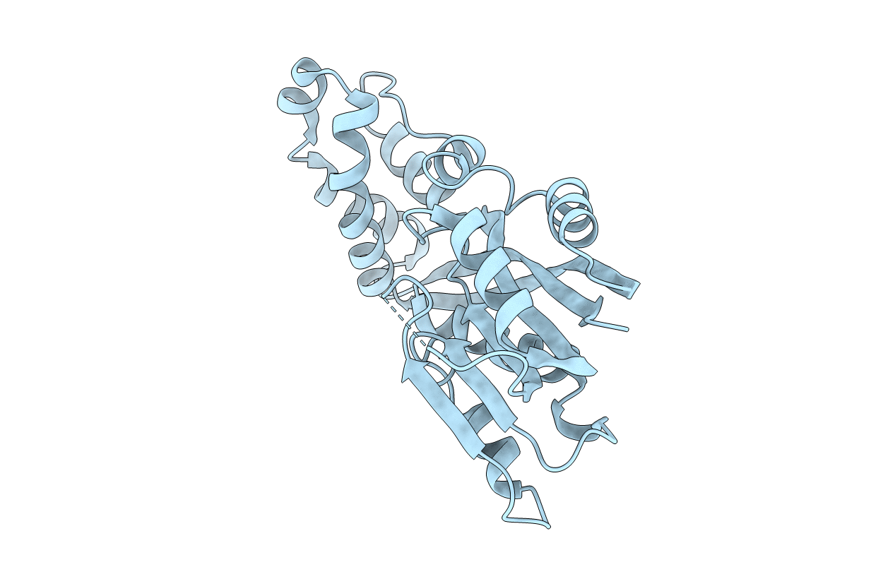 5JGJ image