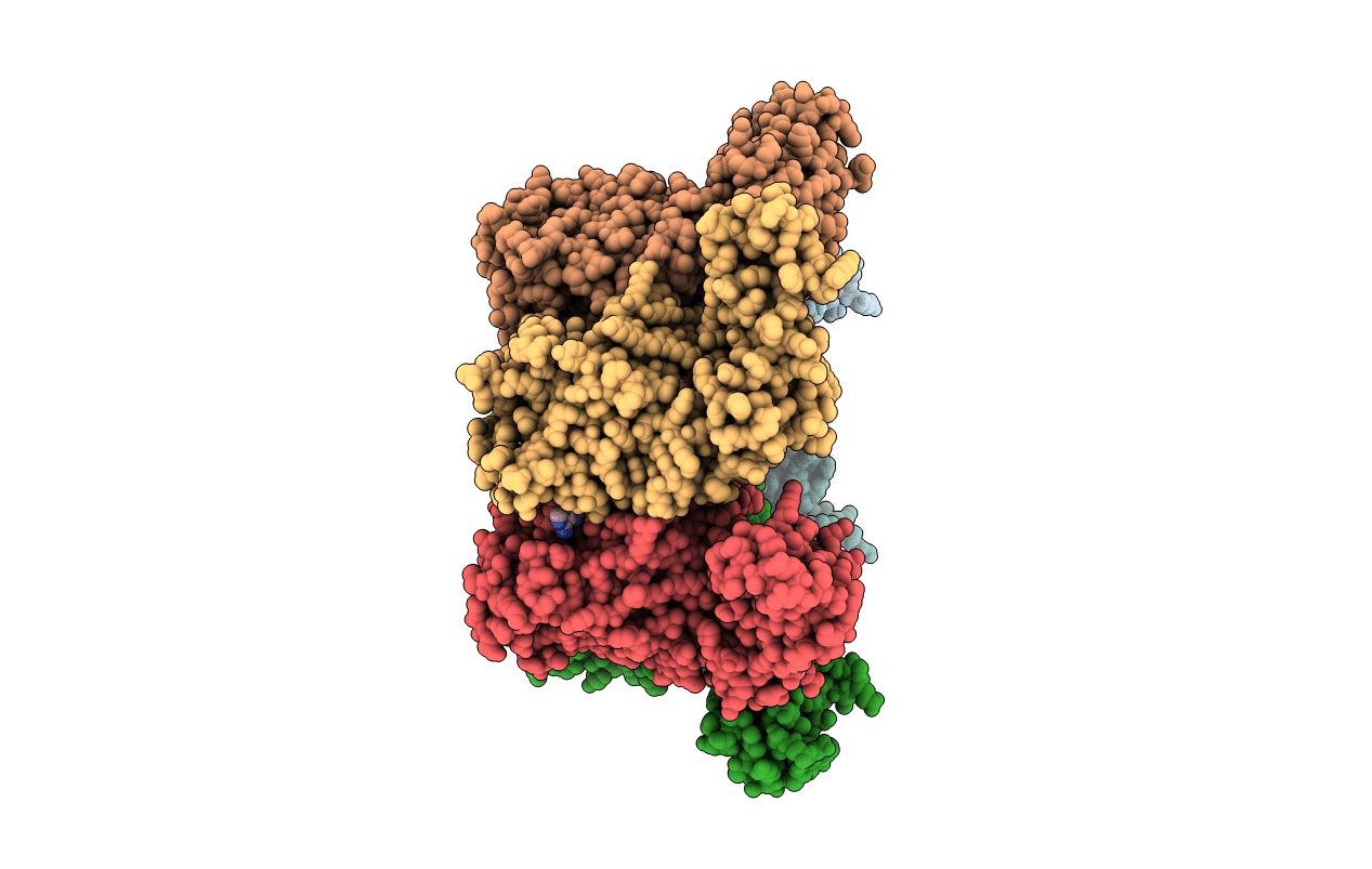 5JJL image