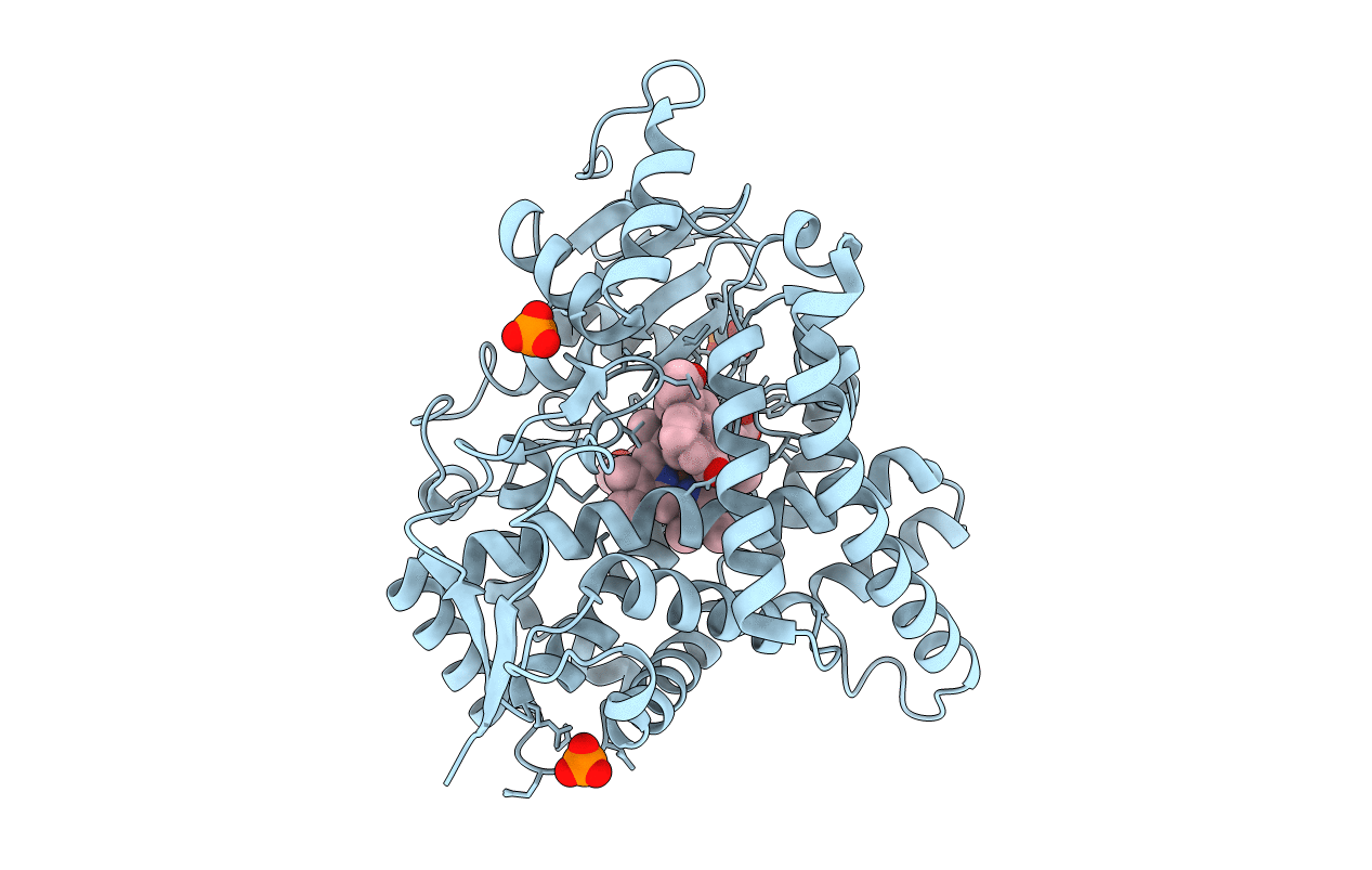5JKV image