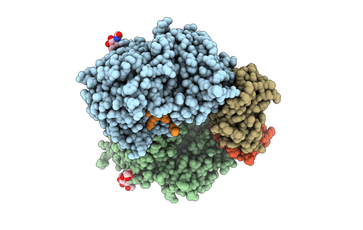 5JMO image