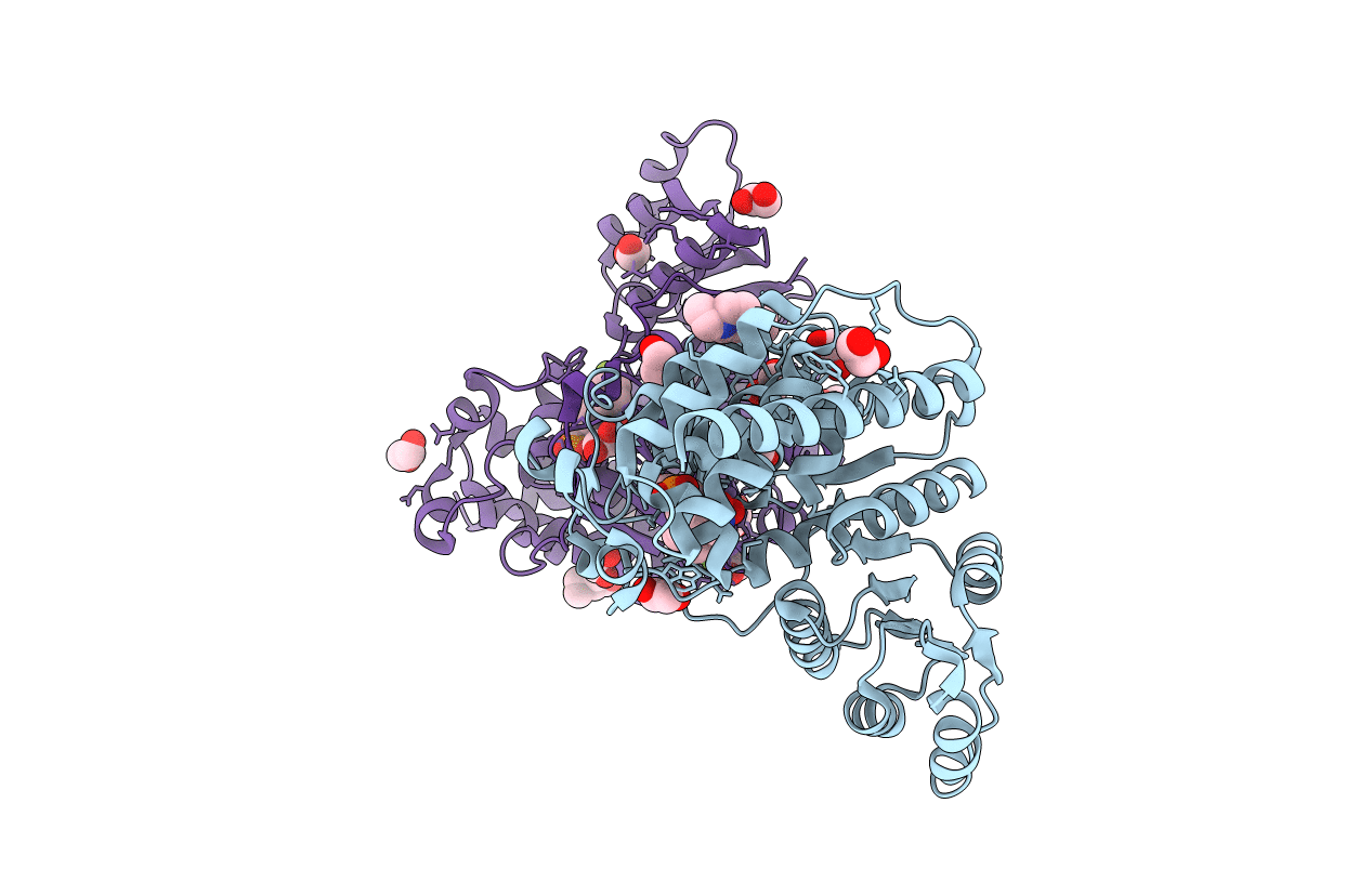 5JMP image