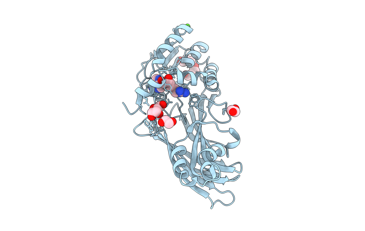 5JMQ image