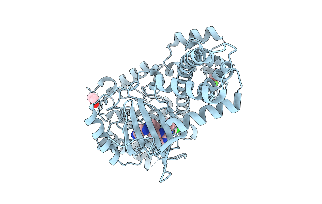 5JMS image