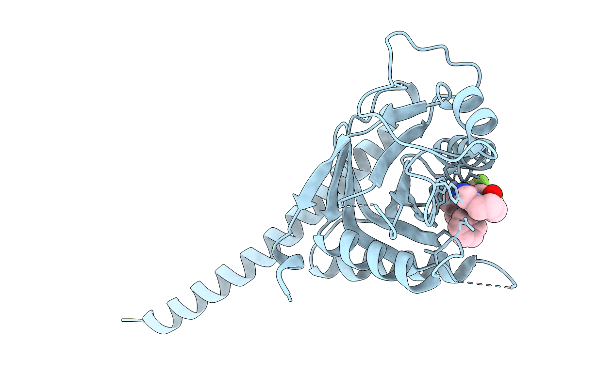 5JOG image