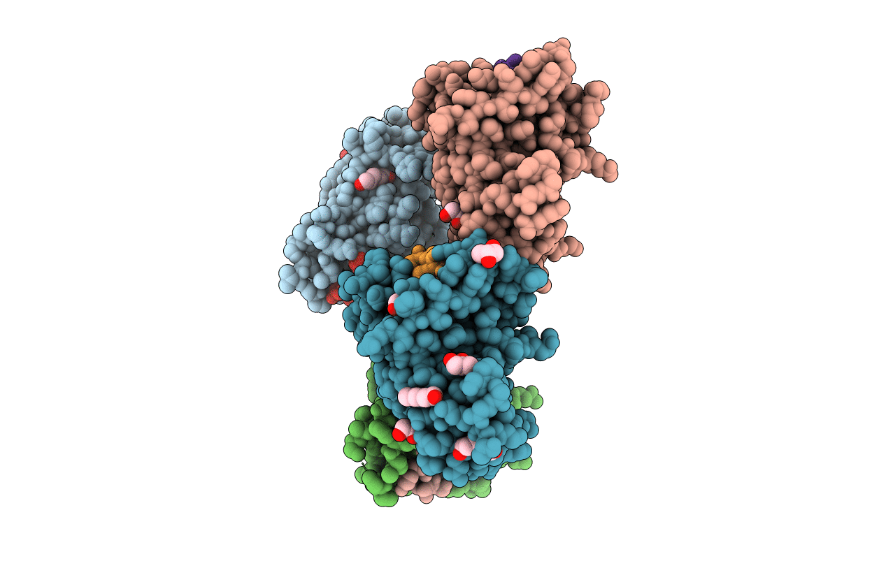 5JR2 image