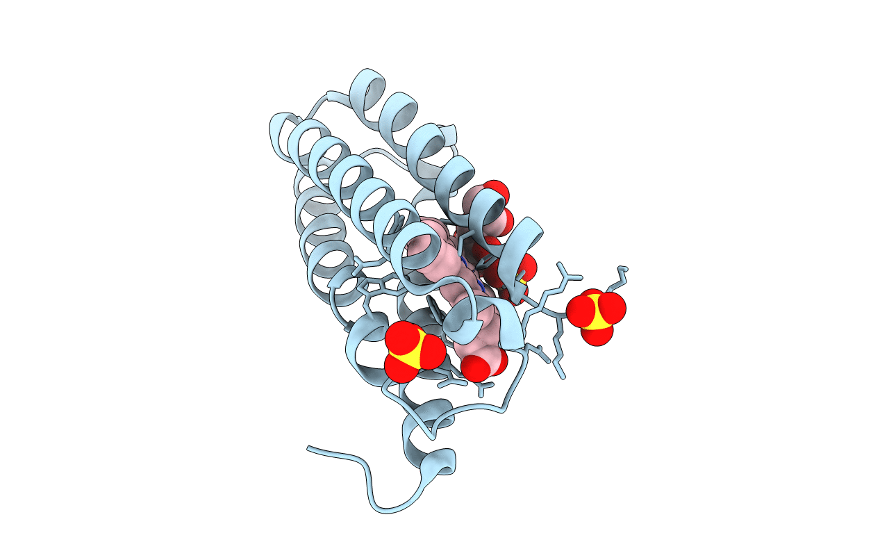 5JSL image