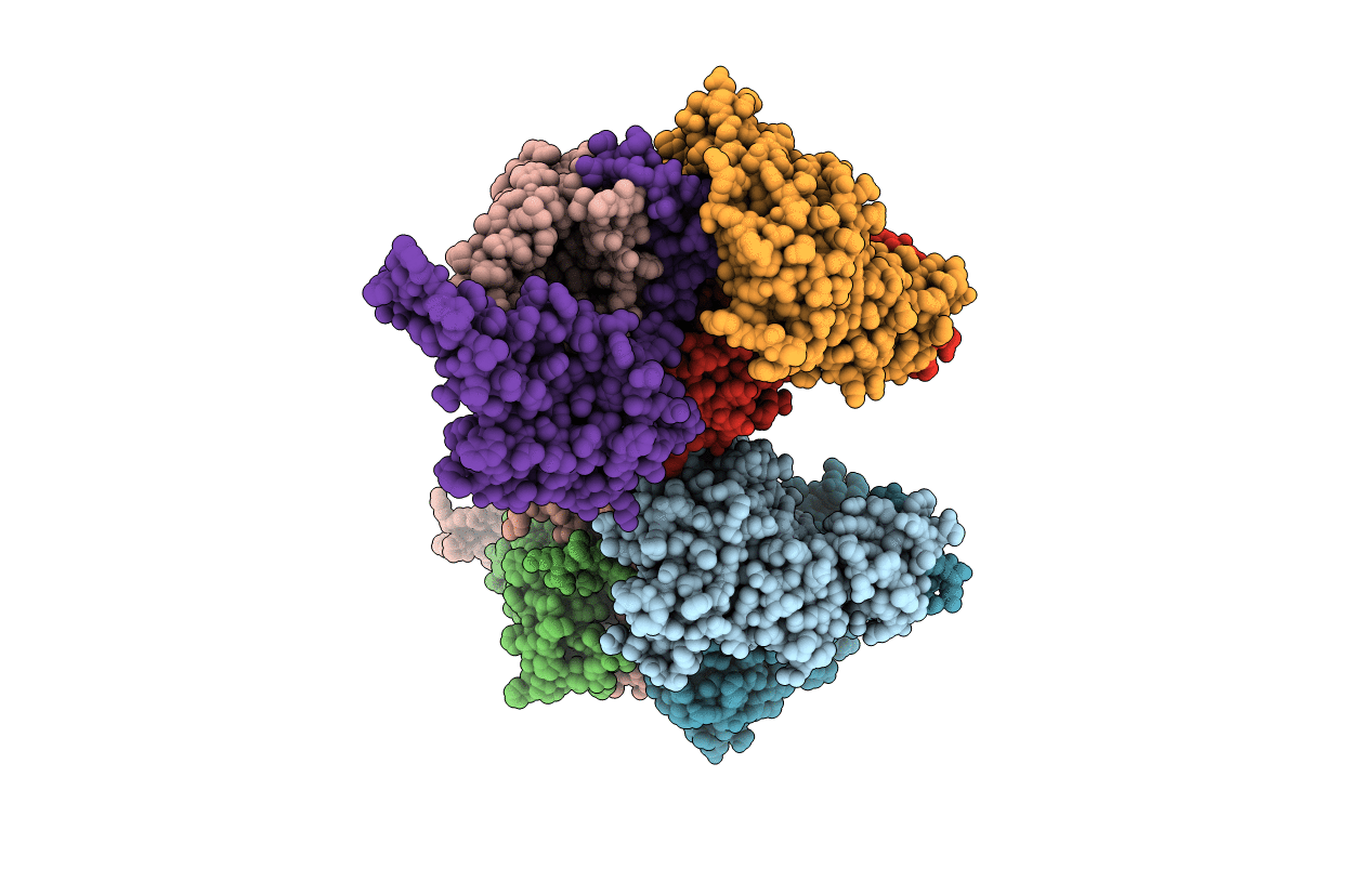 5JSZ image