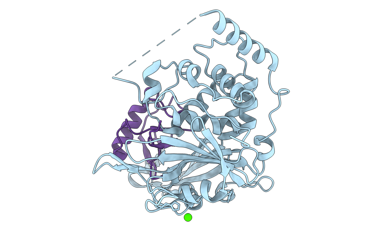 5JTJ image