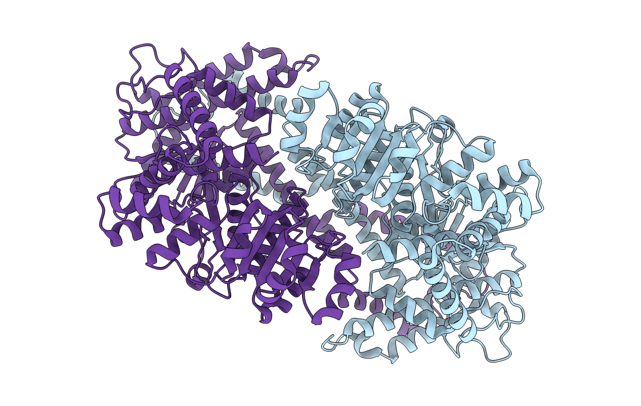 5JXR image
