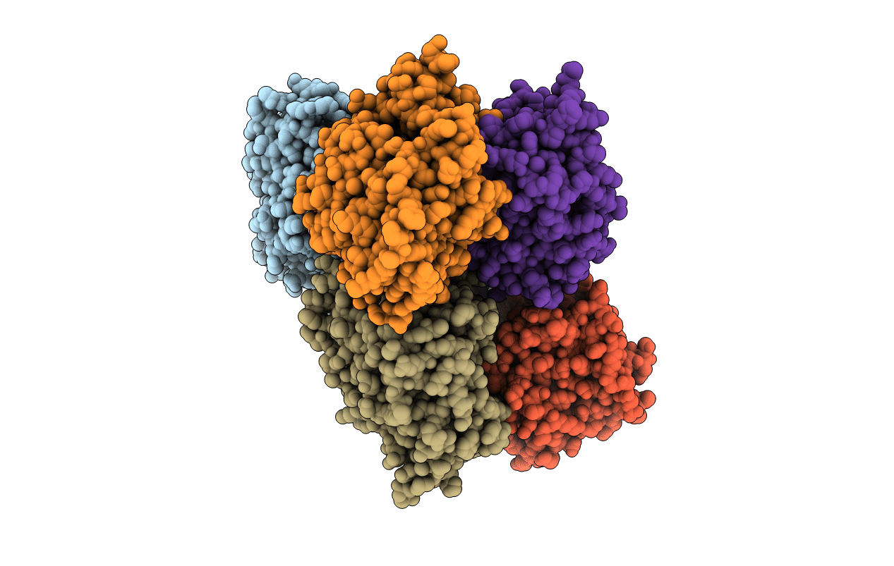 5JZM image