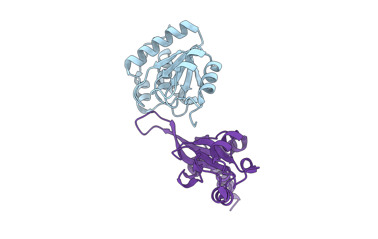 5K22 image