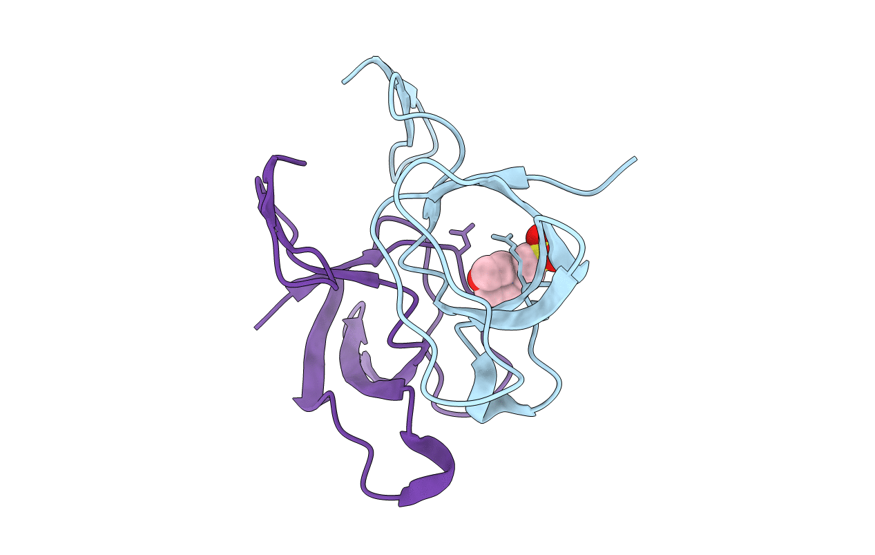5K26 image