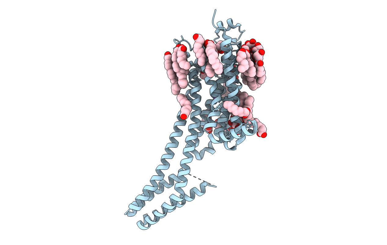 5K2C image