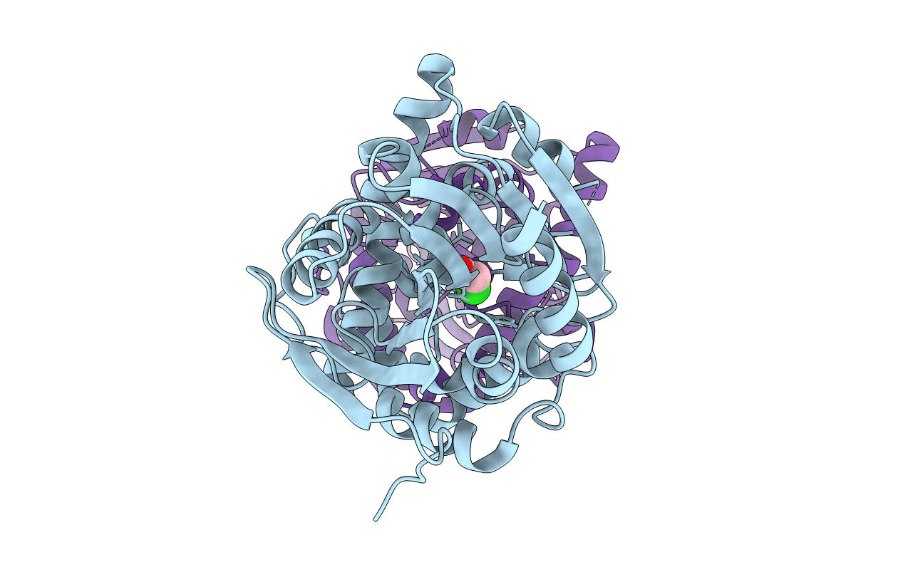 5K3B image