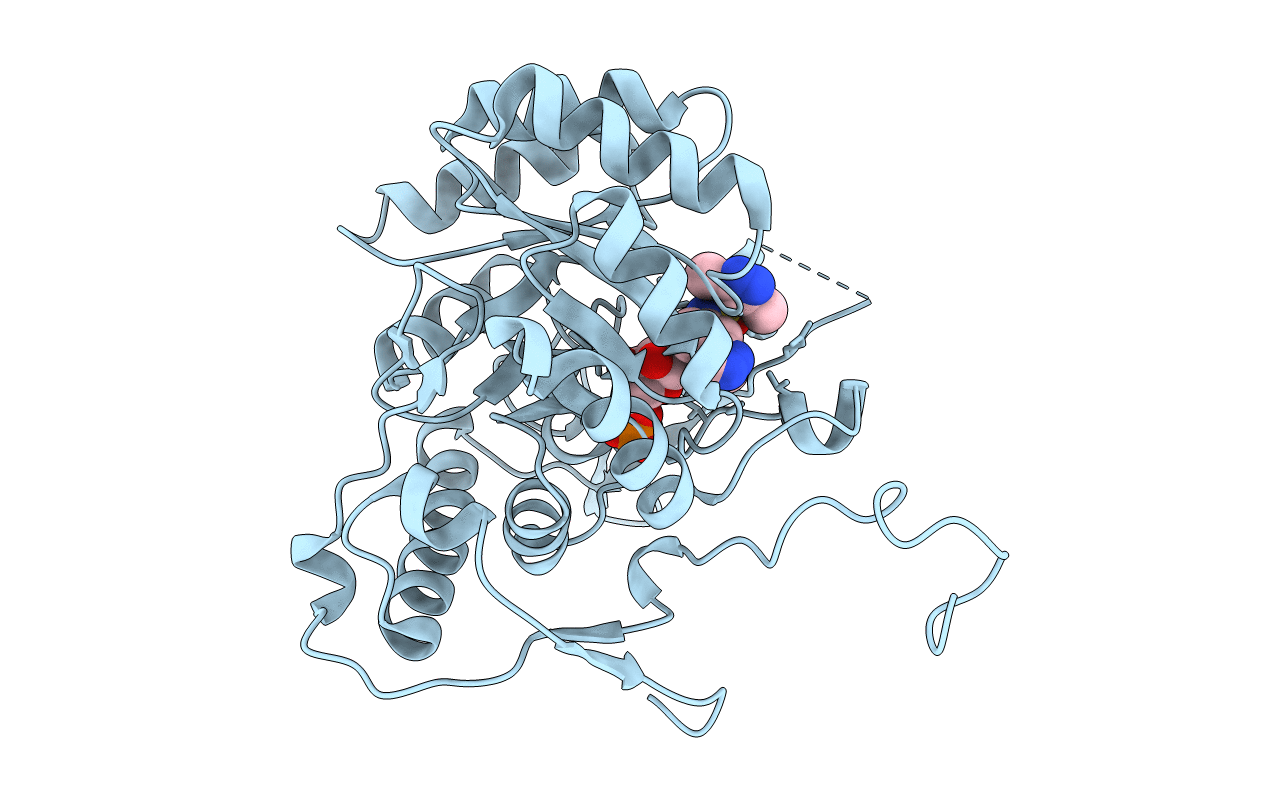 5K4X image