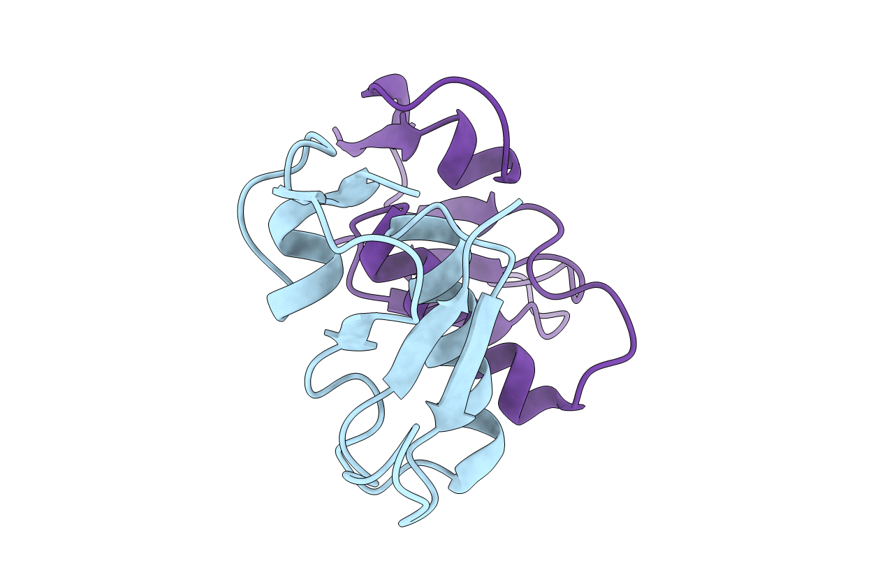 5K6D image