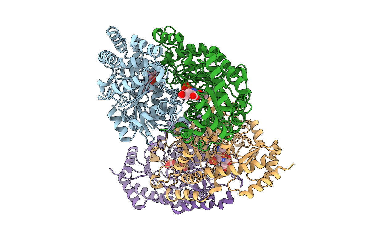 5K8B image
