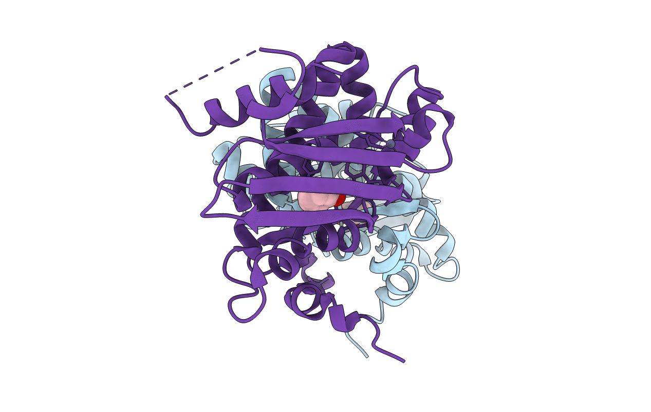 5KBE image