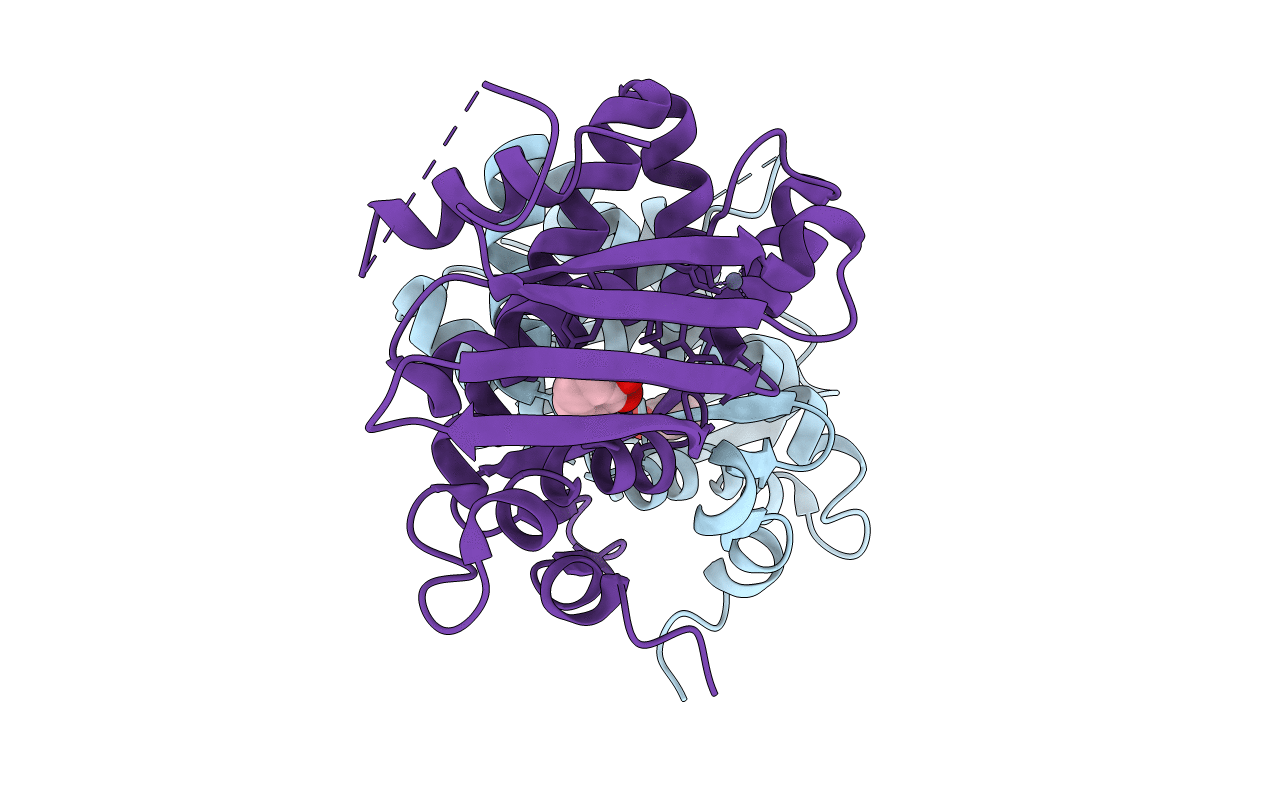 5KBI image