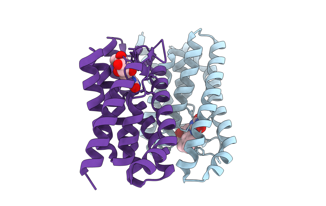 5KBW image