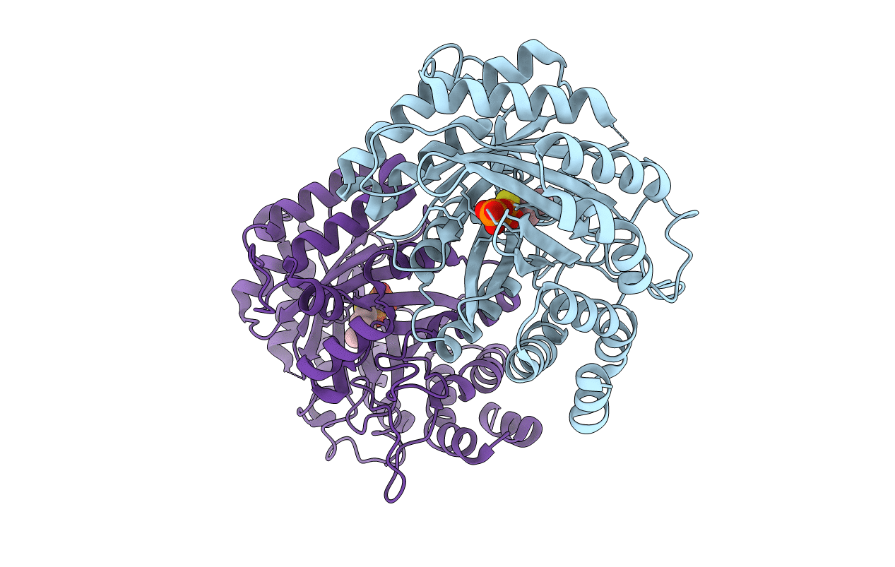 5KCL image