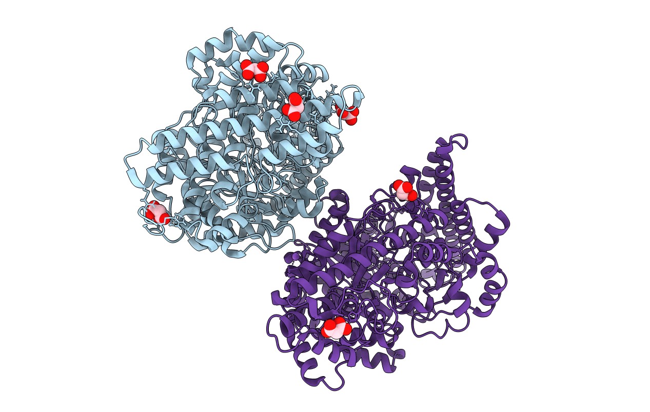 5KDP image