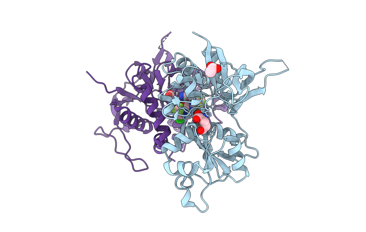 5KDT image