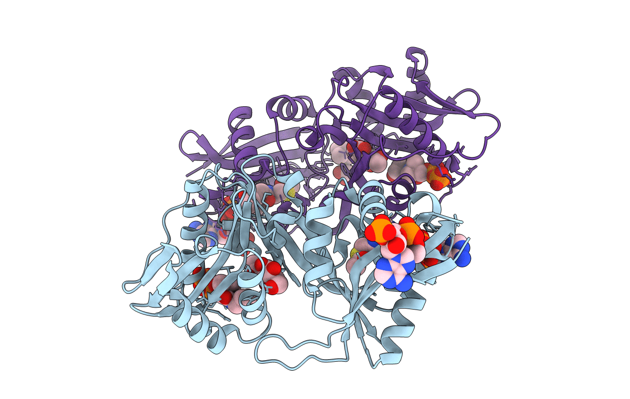 5KGA image
