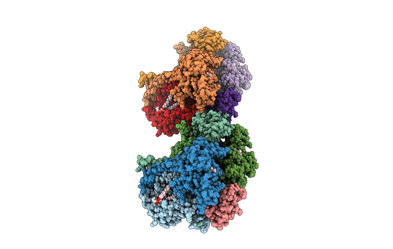 5KLI image