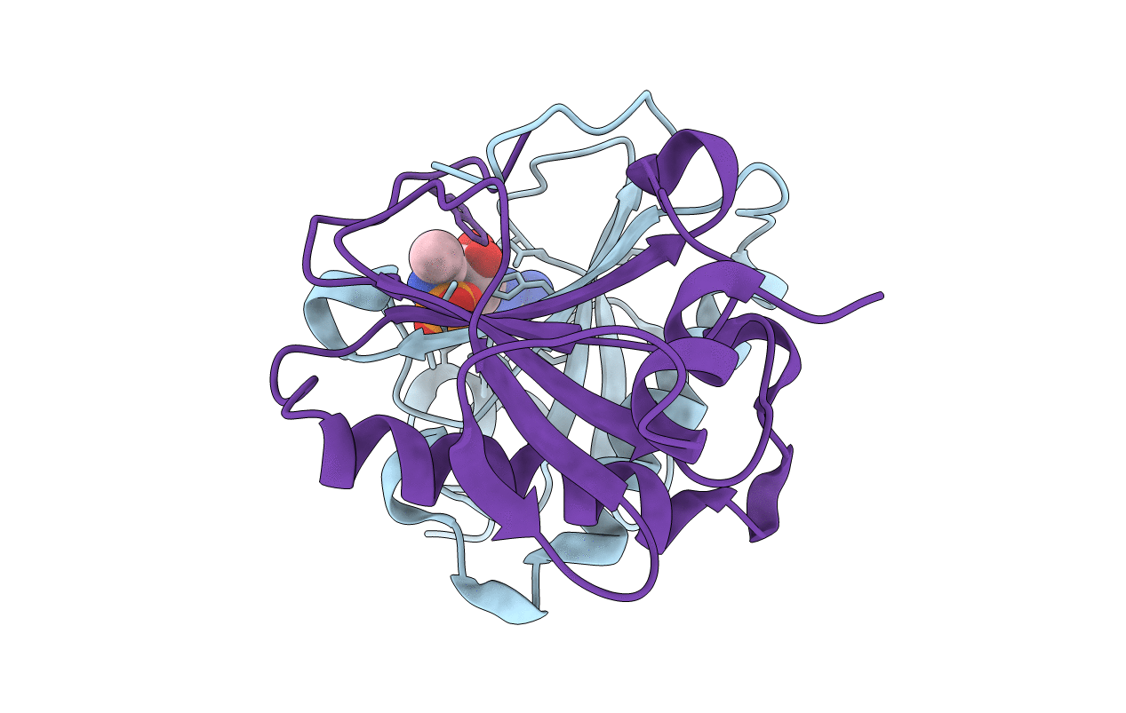 5KMA image