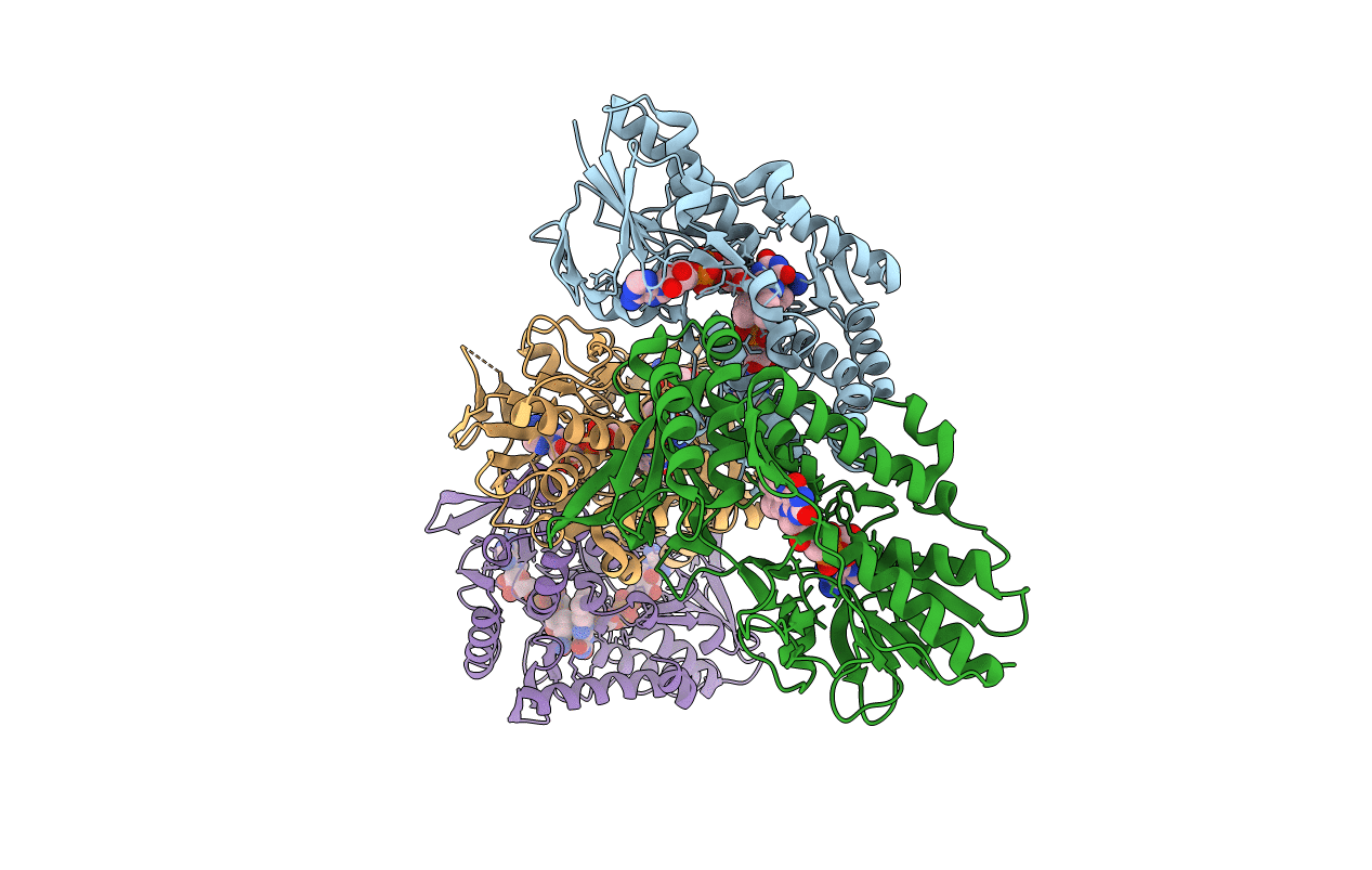 5KMR image