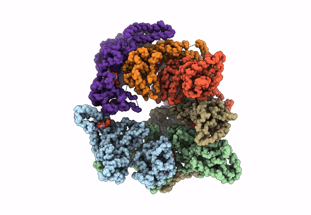 5KNE image